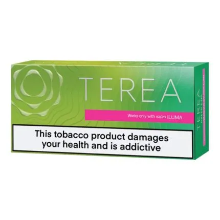 TEREA Zing Wave karton kutusu, yeşil tonlu ambalaj, ILUMA uyumlu